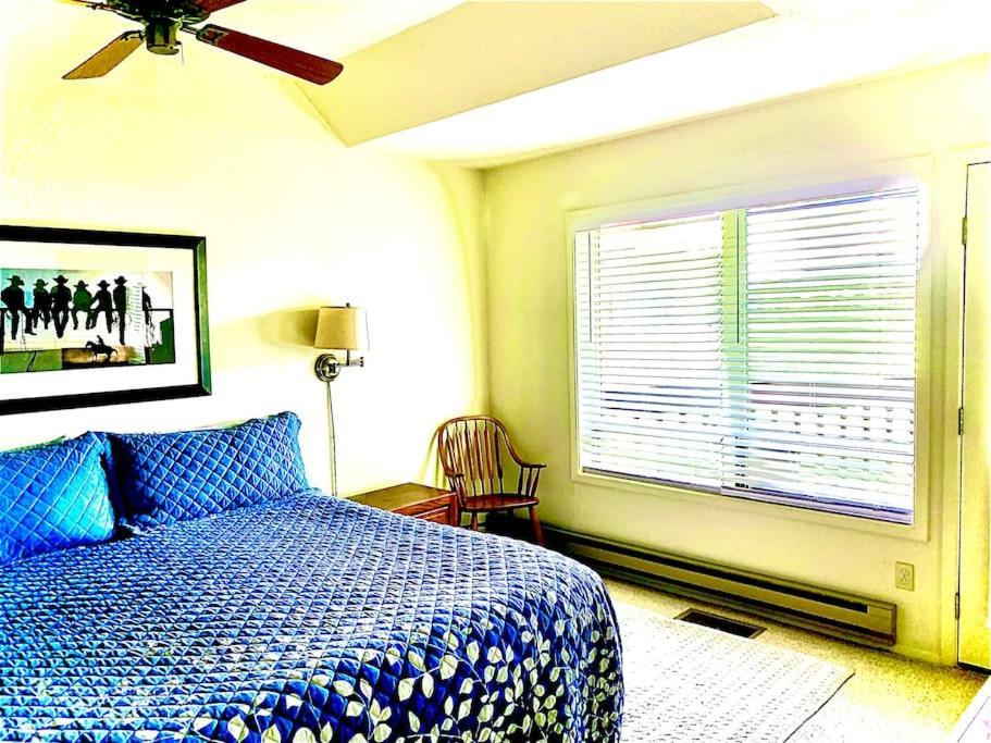 Villa Talisman Amazing Views Walk To Uptown Sleeps 4 Pagosa Springs Esterno foto